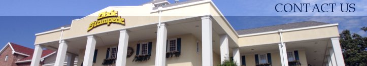 MP ALLEN - CONTACT US